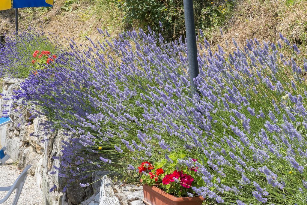 Agriturismo Monte Acuto Umbertide Zewnętrze zdjęcie